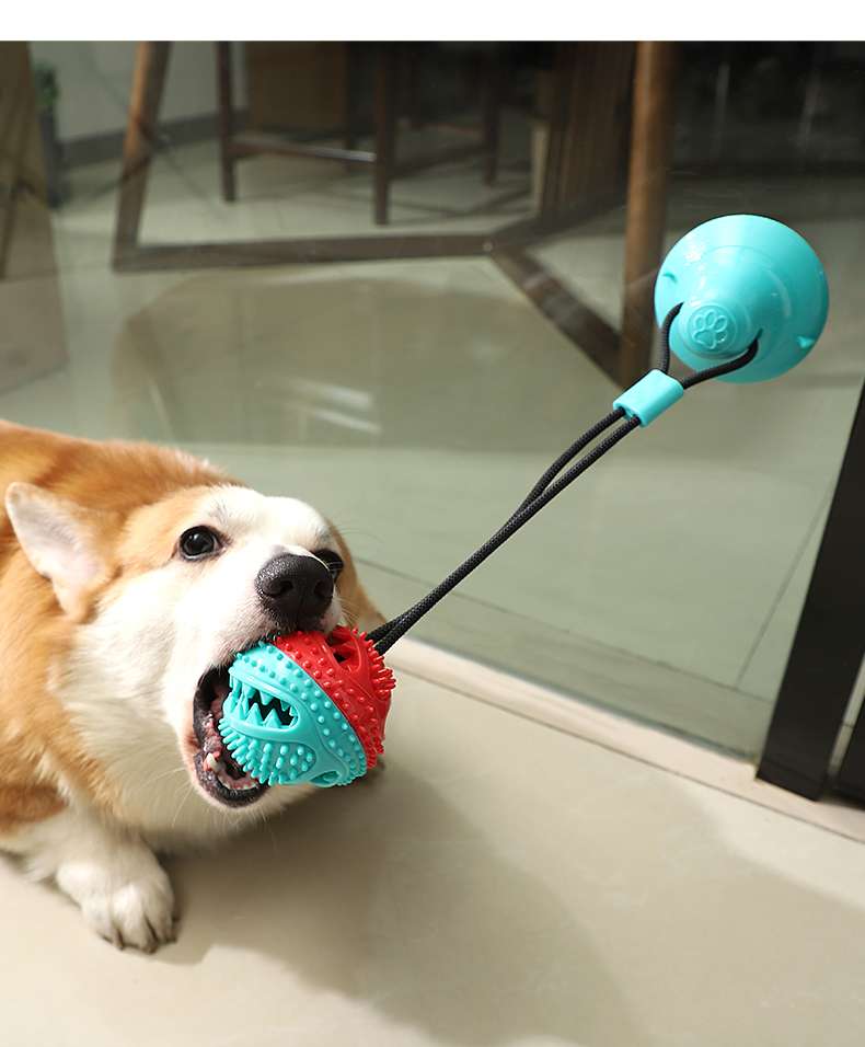 犬 おもちゃ | 吸盤付き犬用おやつディスペンサー玩具