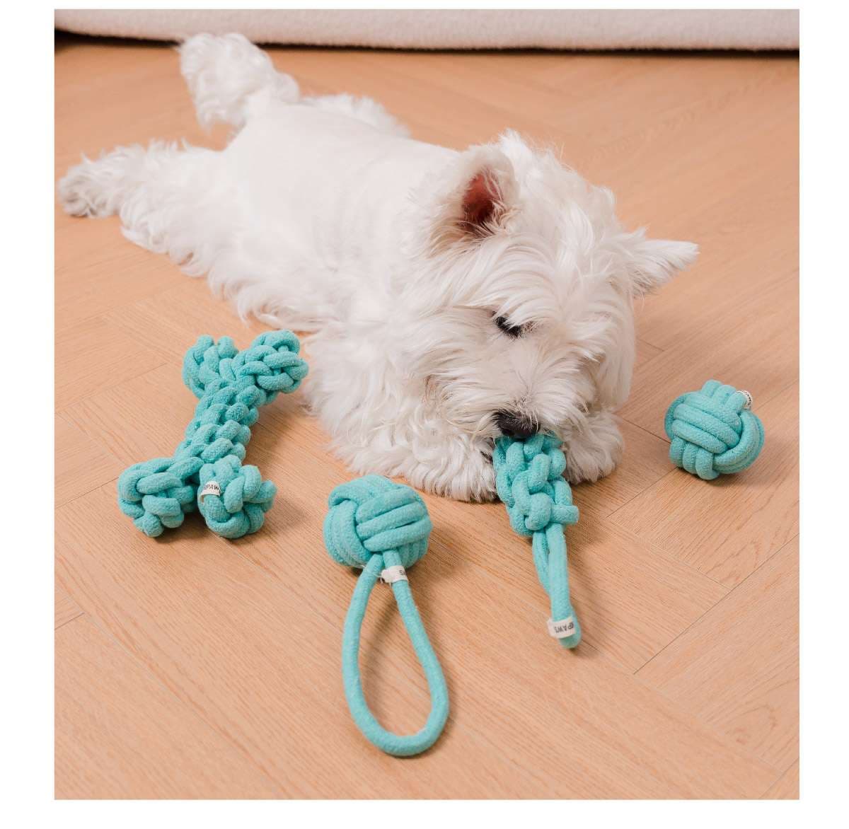 犬 おもちゃ ロープ | 歯磨き効果のある犬用結び目ロープ
