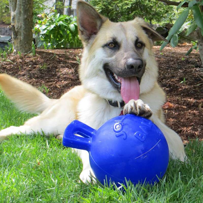 犬 おもちゃ ボール | 大型犬用 タフグリップ ジョリーボール