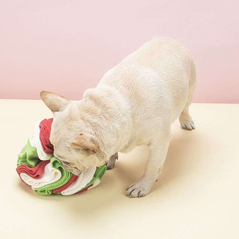 犬 おもちゃ 知育 | わんちゃんの脳トレボール