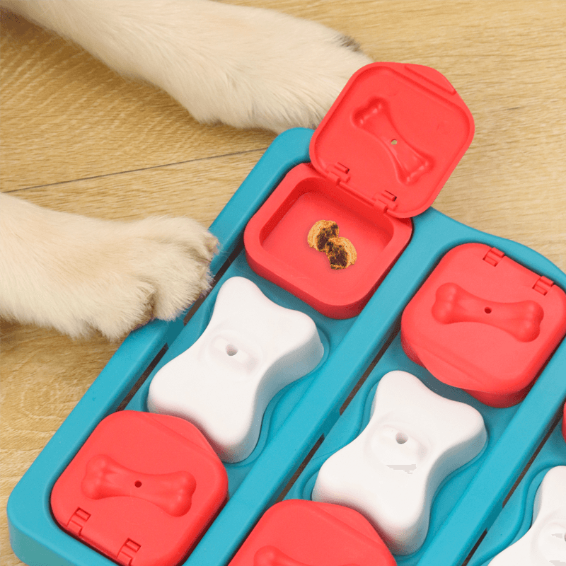 犬 おもちゃ 知育 | わんちゃん喜ぶ知育パズルおもちゃセット
