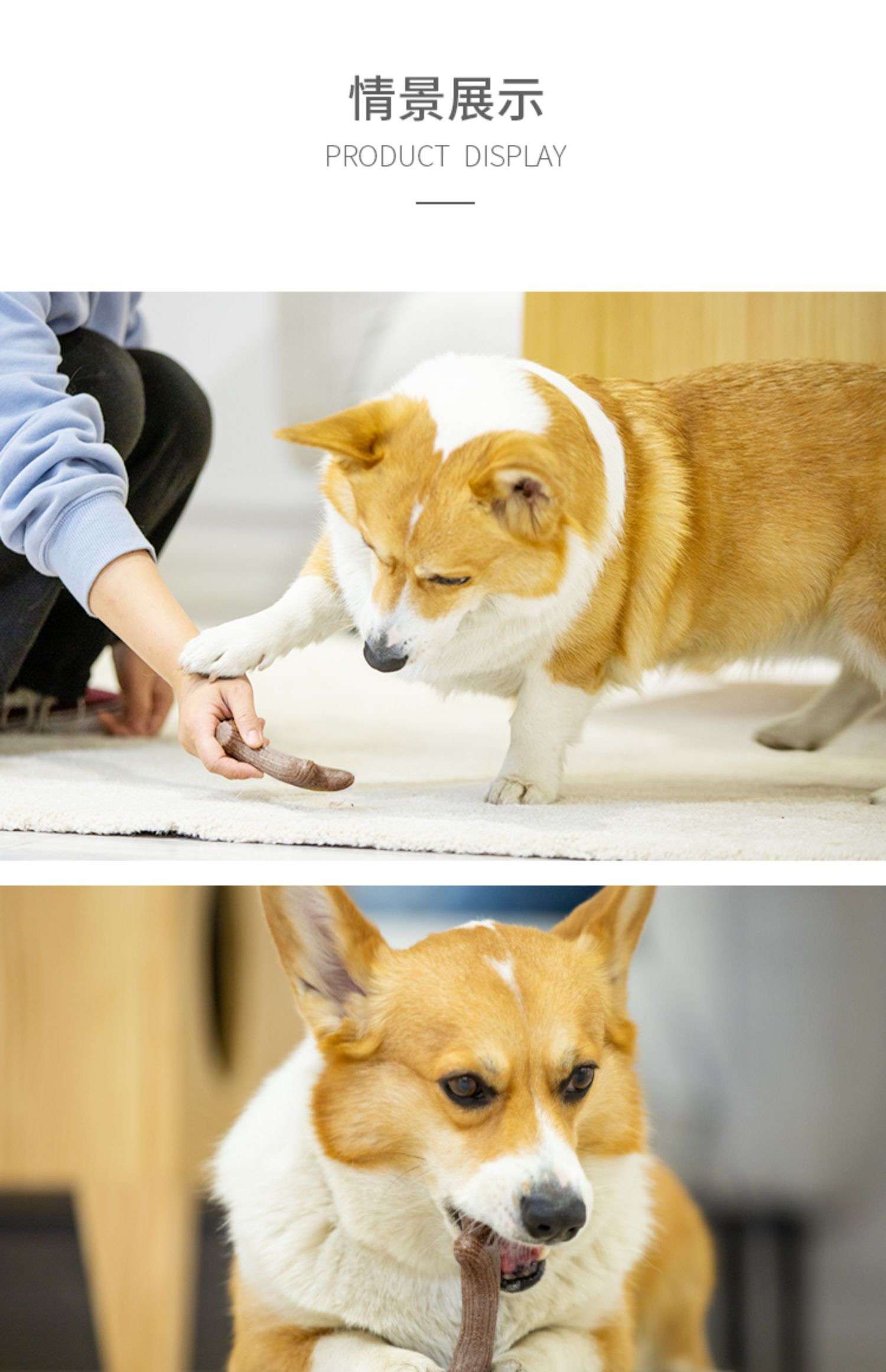 犬 おもちゃ 骨 | 木製アントラー デンタルトイ