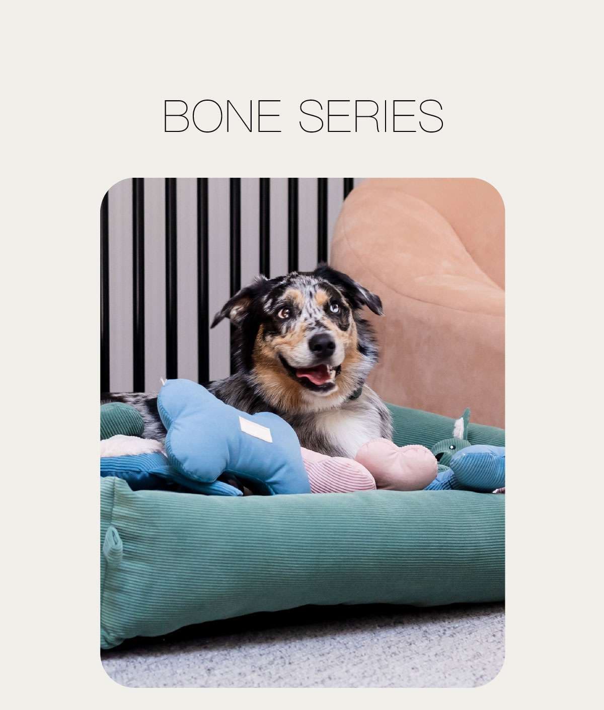 犬 おもちゃ ぬいぐるみ | もふもふペット専用ぬいぐるみトイ