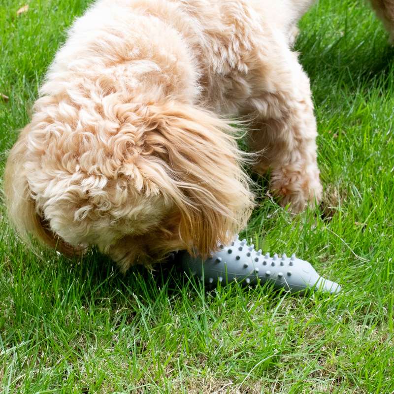 犬 おもちゃ 知育 | モグモグ歯磨きおもちゃ