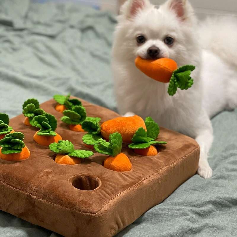 犬 おもちゃ 知育 | わんちゃんの野菜収穫パズル