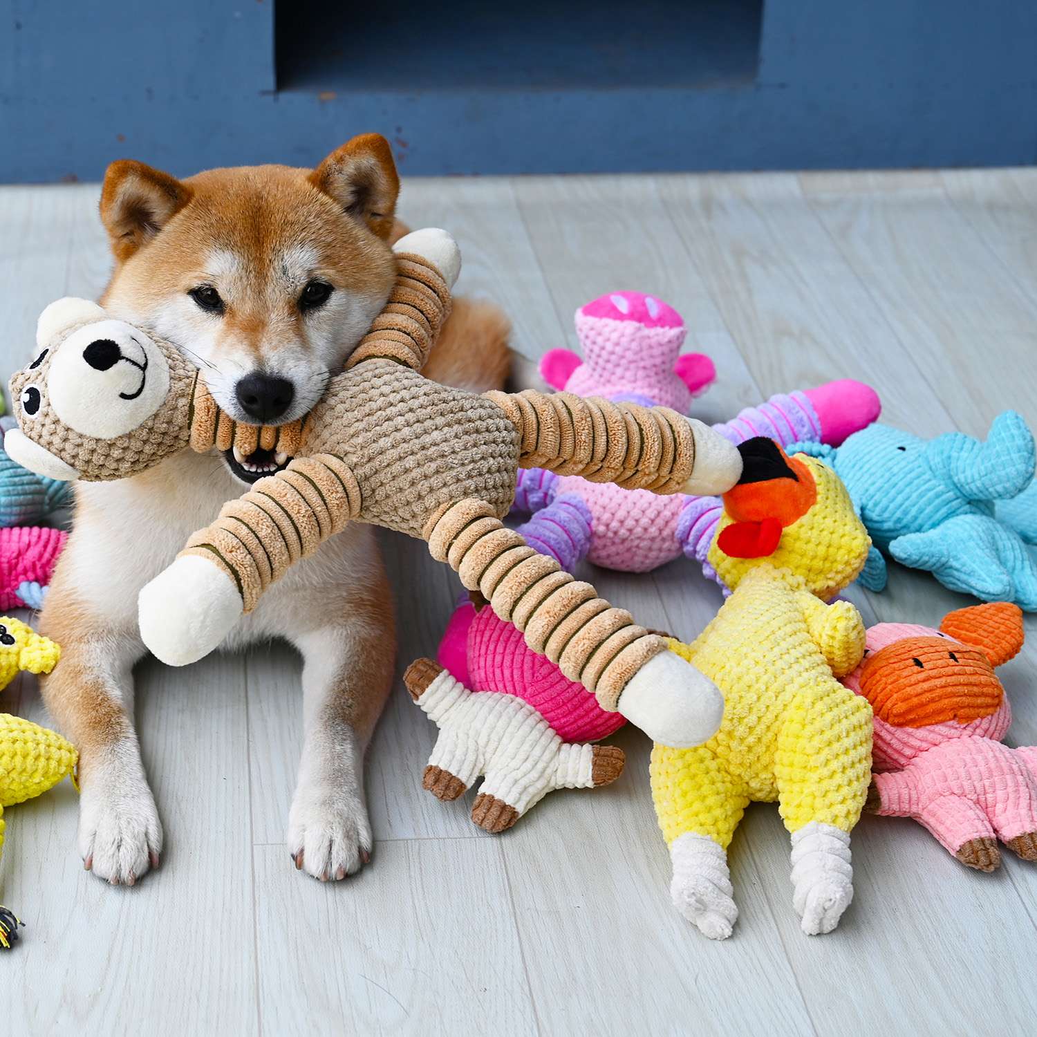 犬 おもちゃ ぬいぐるみ | わんこのお気に入り玩具セット
