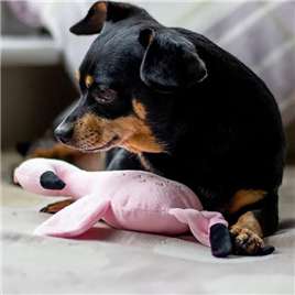 犬 おもちゃ ぬいぐるみ | わんちゃんの親友ぬいぐるみ