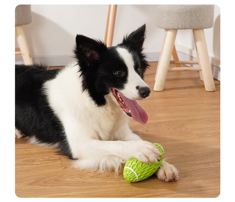 犬のおもちゃ 犬のおもちゃ 歯みがきラバーボール