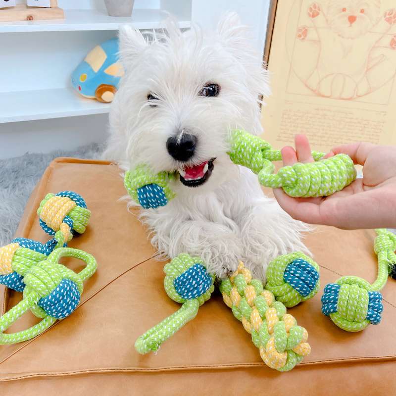 犬 おもちゃ ロープ | わんちゃん大喜び！結び目ロープおもちゃセット