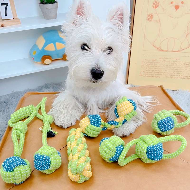犬 おもちゃ ロープ | わんちゃん大喜び！結び目ロープおもちゃセット