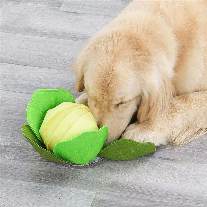 犬 おもちゃ 知育 | 花びら型ペット知育フードボウル