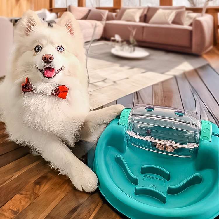 犬 おもちゃ 知育 | ペット用パズルフィーダー