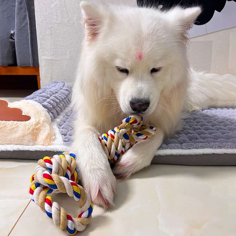 犬 おもちゃ ロープ | わんちゃん大喜び！結び目付き丈夫なロープ