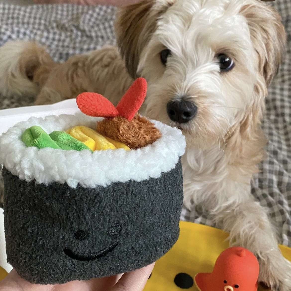 犬 おもちゃ 知育 | わんちゃんのおすし遊び知育トイ