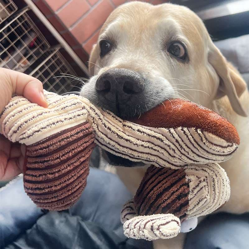 犬 おもちゃ ロープ | わんこの歯ピカピカぬいぐるみ