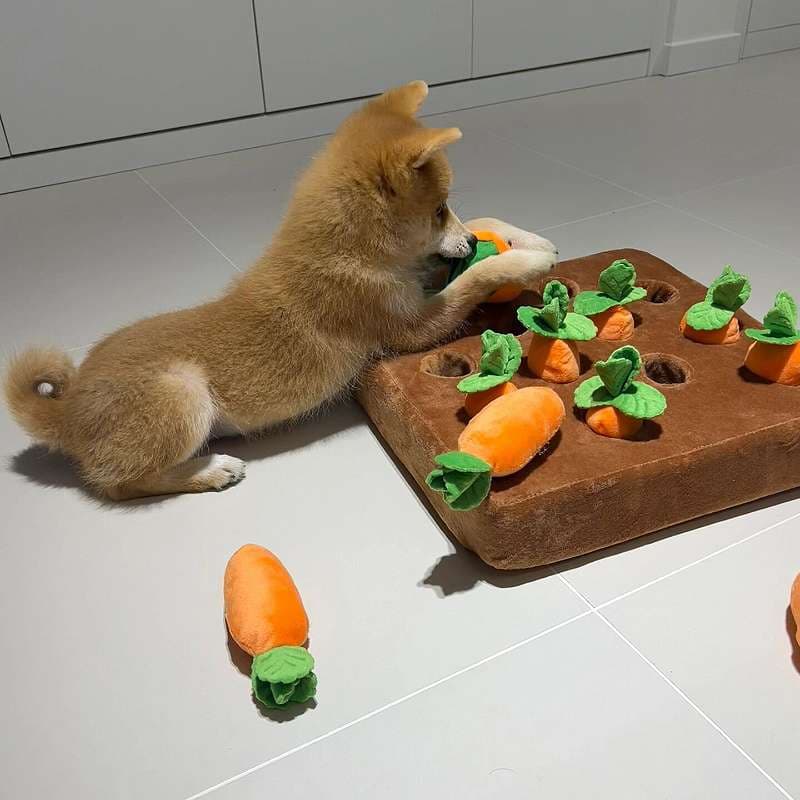 犬 おもちゃ 知育 | わんちゃんの野菜収穫パズル