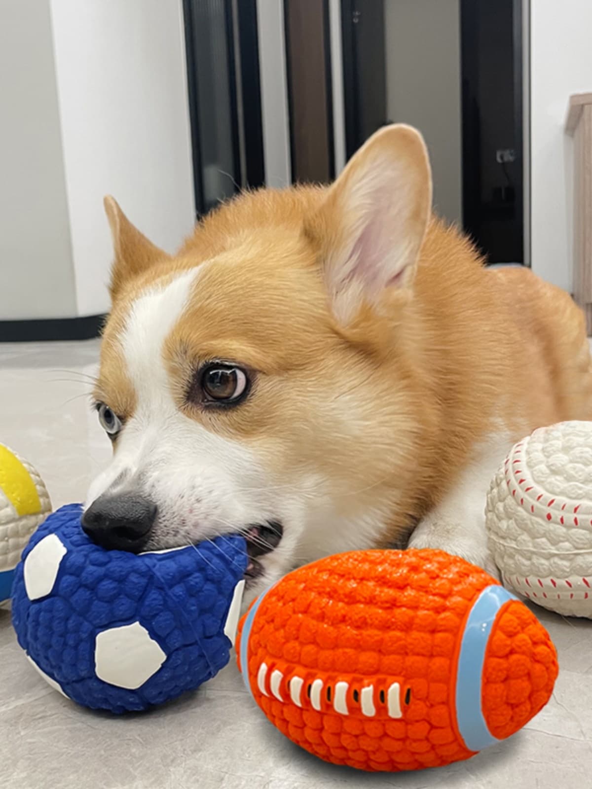 犬のおもちゃ 音鳴り遊び球 噛みごたえ満点スポーツボール