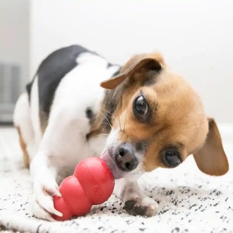 犬のおもちゃ 犬のおもちゃ 噛みごたえボール