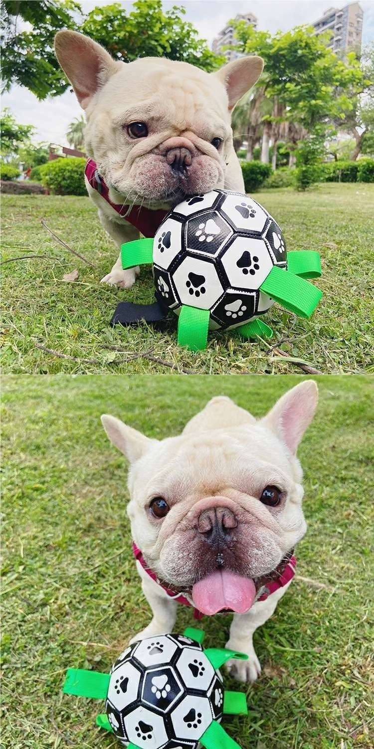 犬 おもちゃ ボール | わんちゃん喜ぶ肉球サッカーボール
