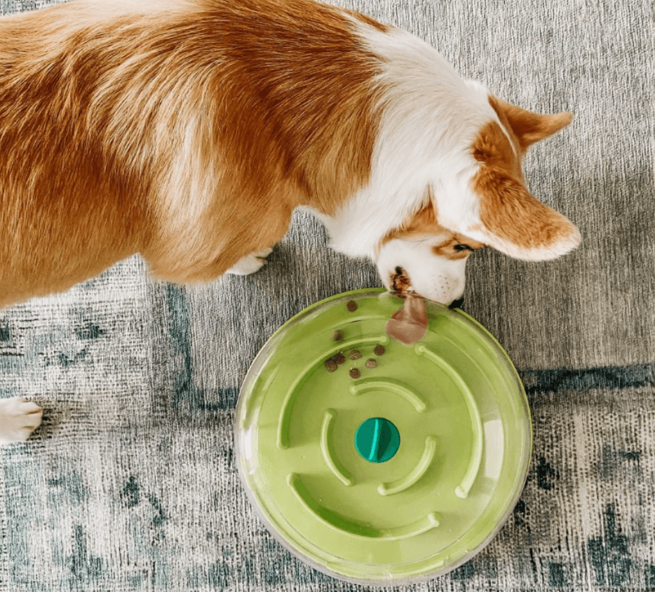 犬 おもちゃ 知育 | 犬用パズルスライダー知育ボード