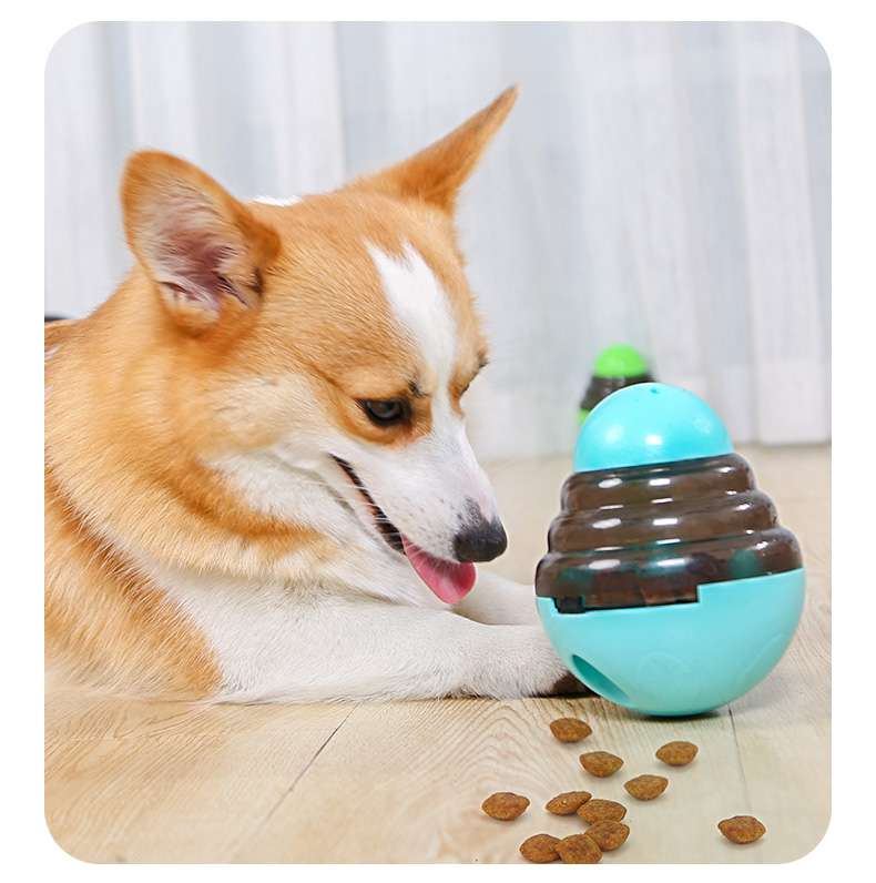 犬 おもちゃ 知育 | 転がるおやつボール 知育玩具