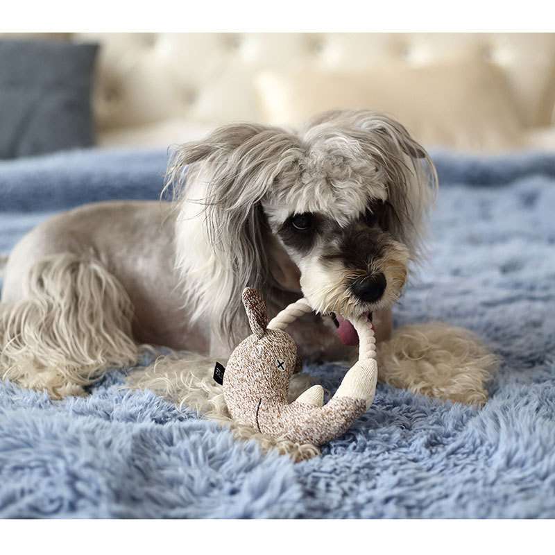 犬 おもちゃ ぬいぐるみ | もふもふ動物園ぬいぐるみセット