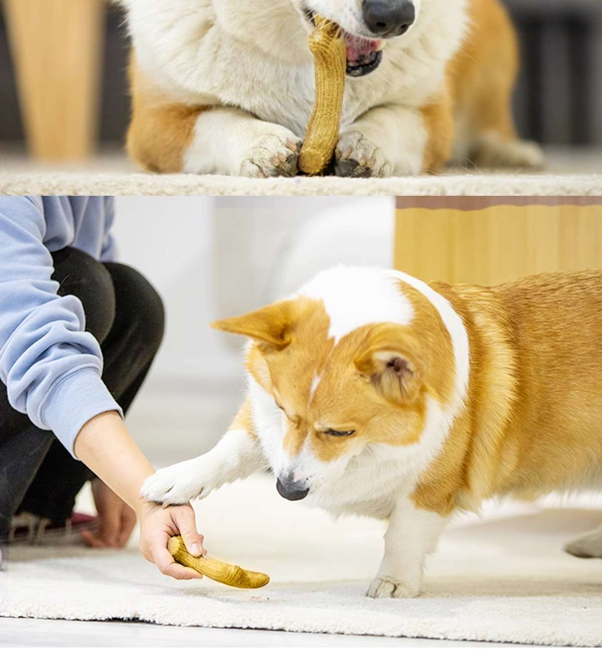 犬 おもちゃ 骨 | 愛犬用 天然松の香り歯磨きおもちゃ