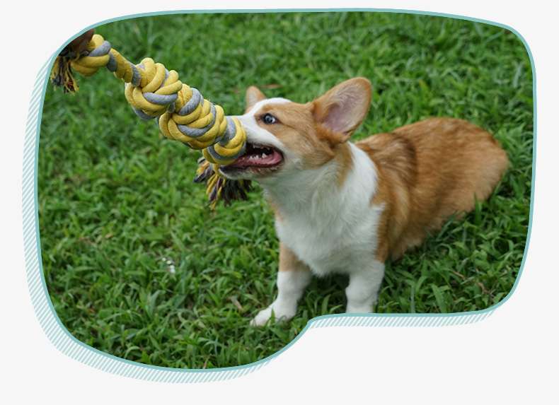犬 おもちゃ ロープ | わんちゃん大喜び！結び目付き丈夫なロープ