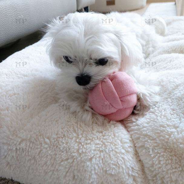 犬 おもちゃ ボール | もこもこ結び目ボール