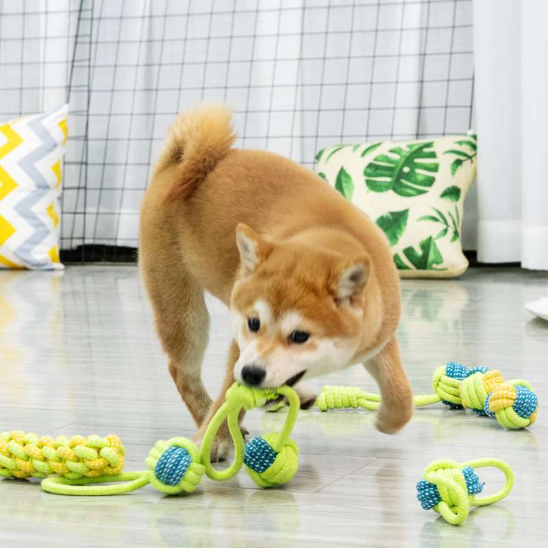 犬 おもちゃ ロープ | 愛犬喜ぶ結び目遊具セット