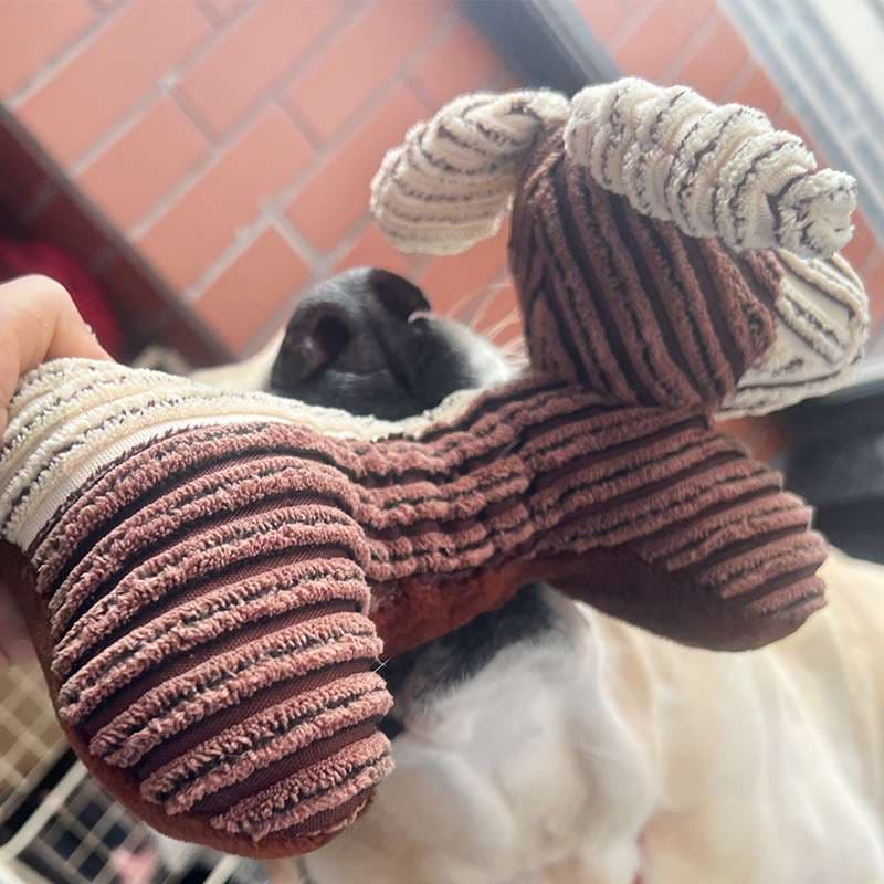 犬 おもちゃ ロープ | わんこの歯ピカピカぬいぐるみ