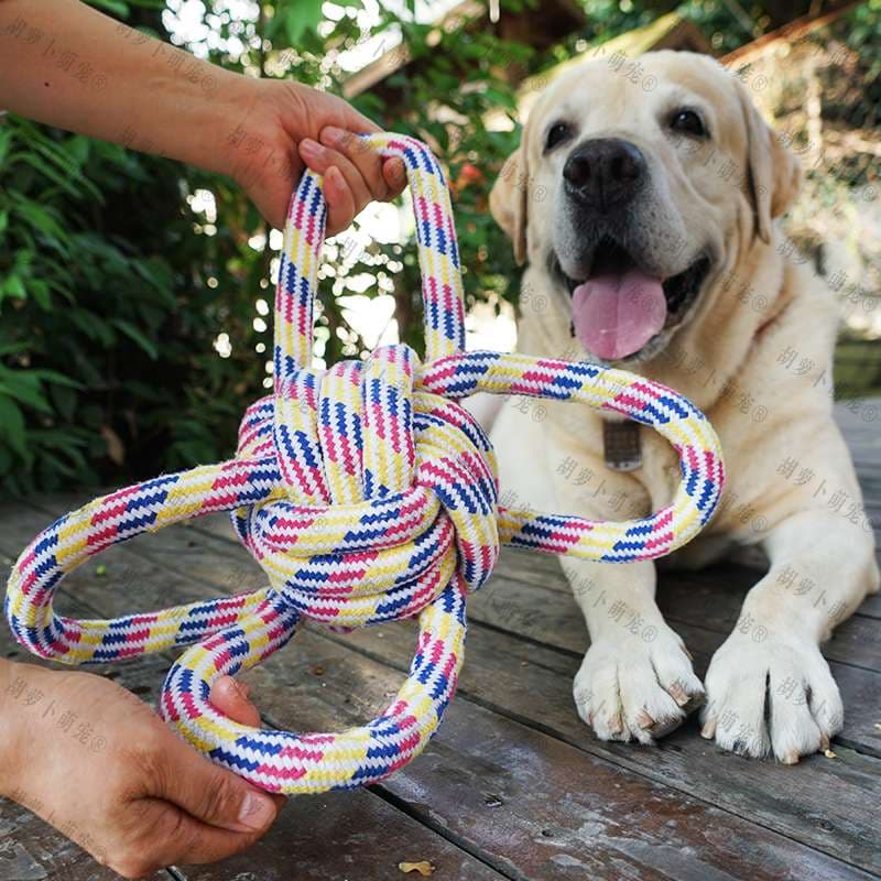 犬 おもちゃ ロープ | 愛犬とのふれあい結び目ロープ