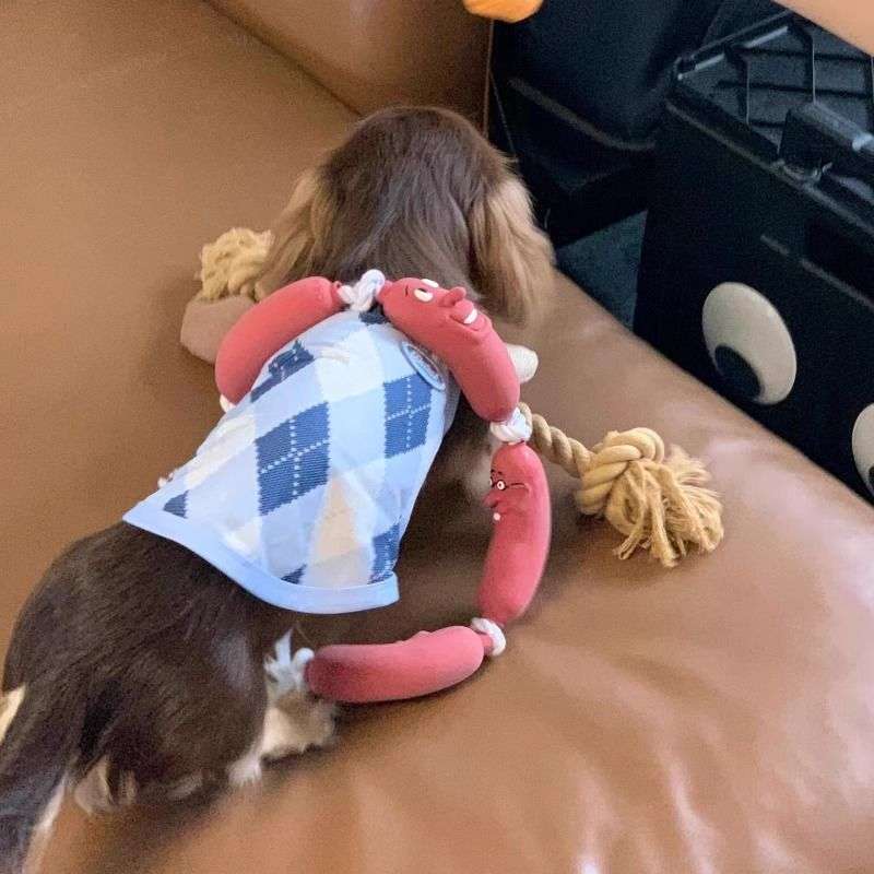 犬 おもちゃ ロープ | わんちゃんの噛みごこちロープ