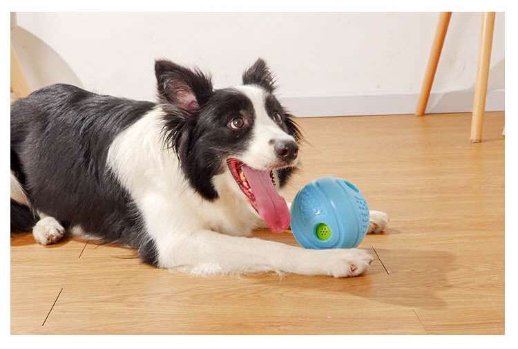 犬 おもちゃ ボール | 知育ペット噛むおもちゃボール