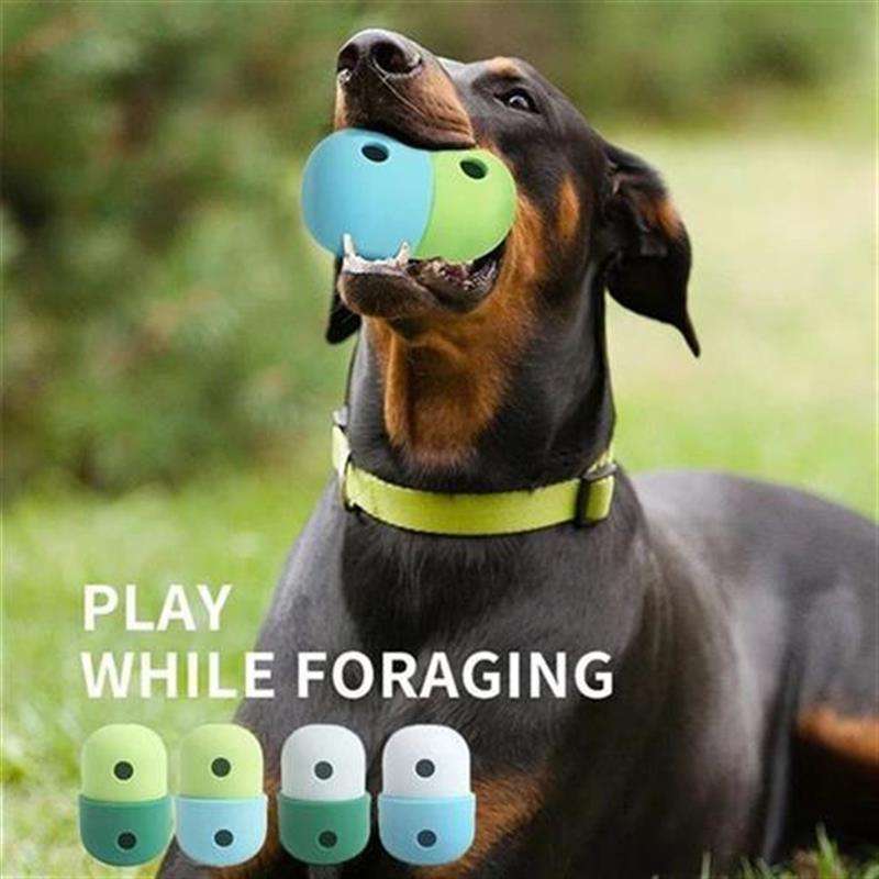 犬 おもちゃ ボール | フォーラジングパズルボール