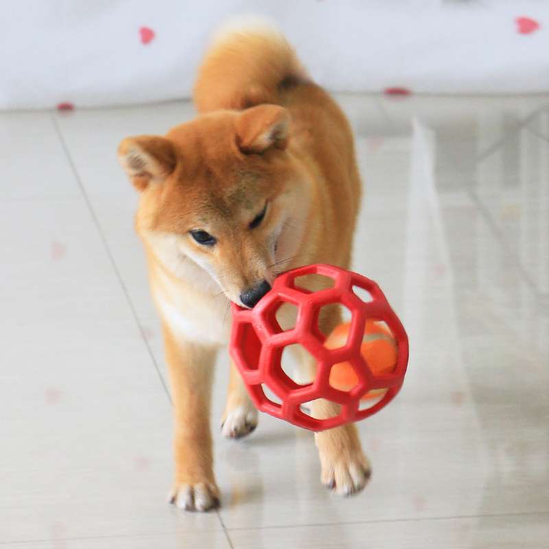 犬 おもちゃ ボール | 多面体ホーローボール