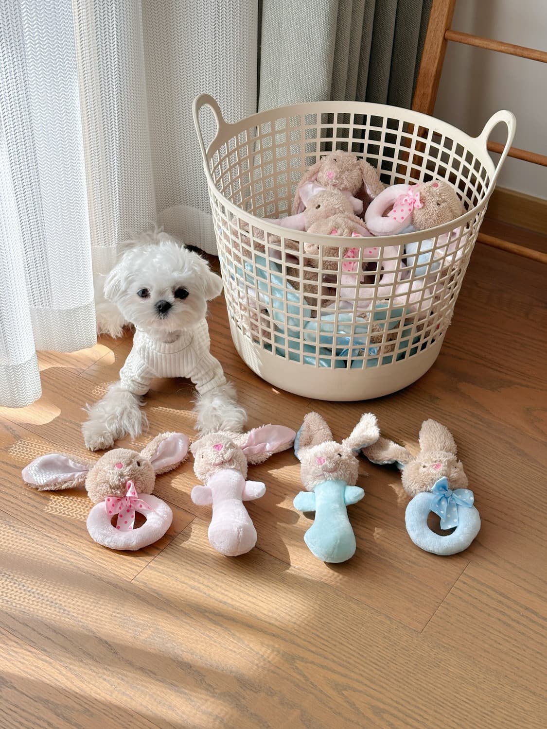 犬のおもちゃ うさぎさん抱っこラトル