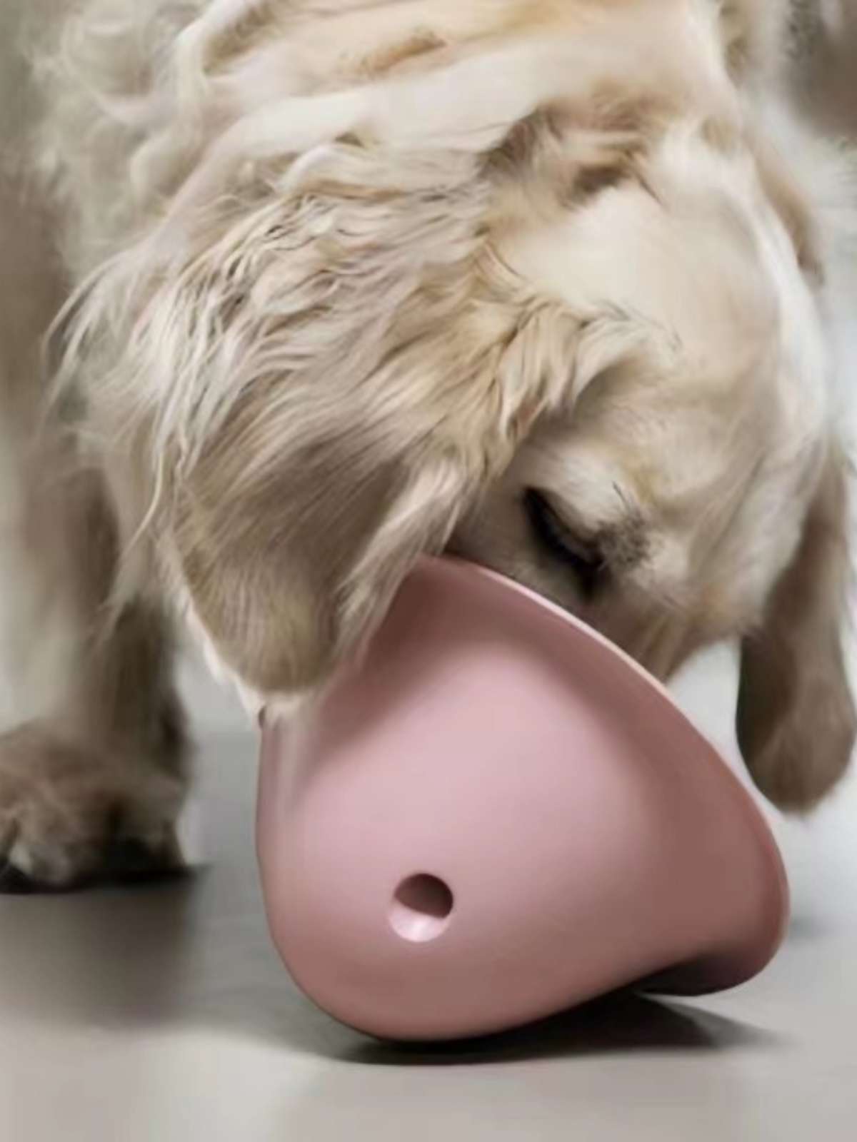 犬 おもちゃ 知育 | 長く遊べる知育ボウル