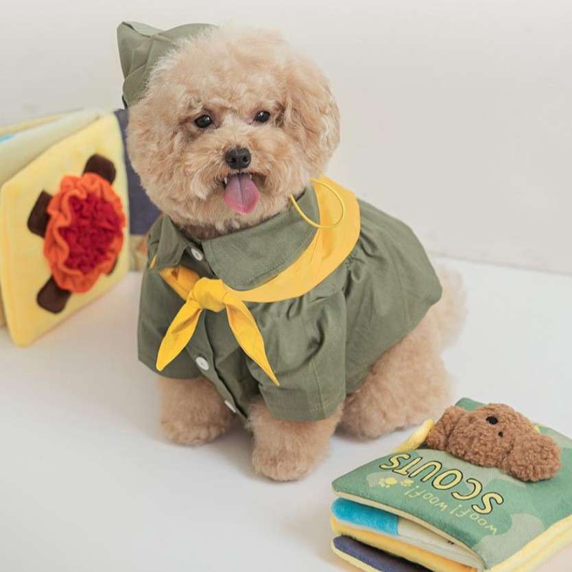犬 おもちゃ 知育 | わんちゃんの知育布絵本セット