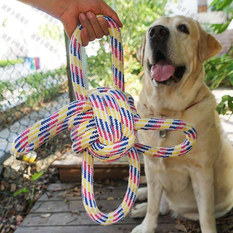 犬 おもちゃ ロープ | 愛犬とのふれあい結び目ロープ