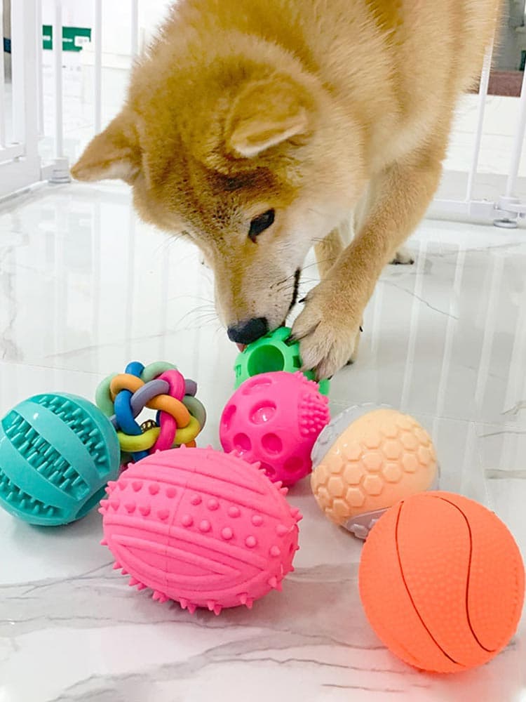犬のおもちゃ 多種遊び方わんちゃん噛み心地ボールセット