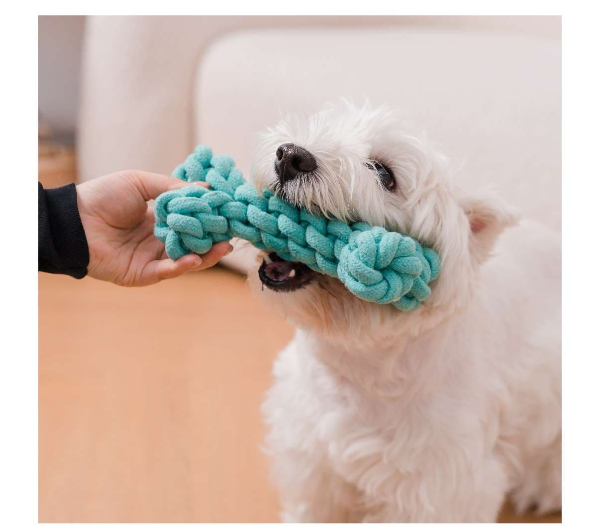 犬 おもちゃ ロープ | 歯磨き効果のある犬用結び目ロープ