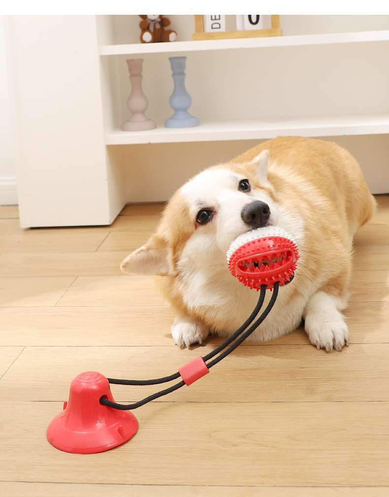 犬 おもちゃ | 吸盤付き犬用おやつディスペンサー玩具