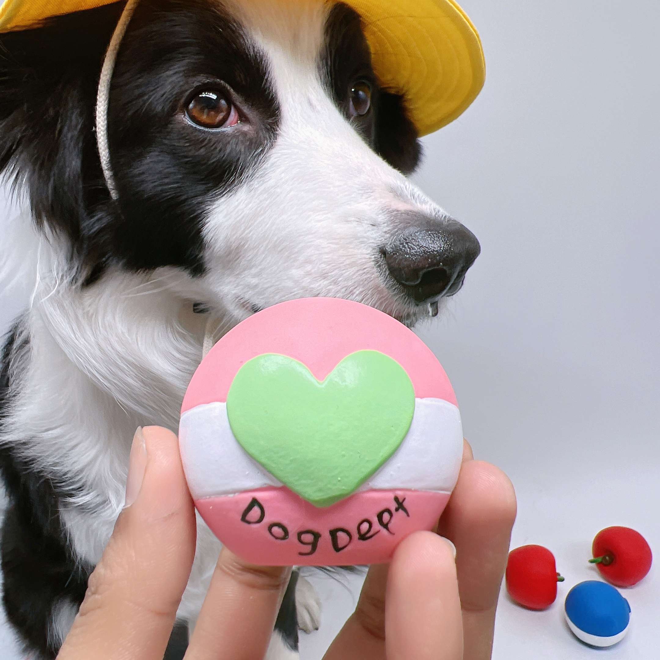 犬 おもちゃ ボール | わんちゃんのハッピーフルーツボール