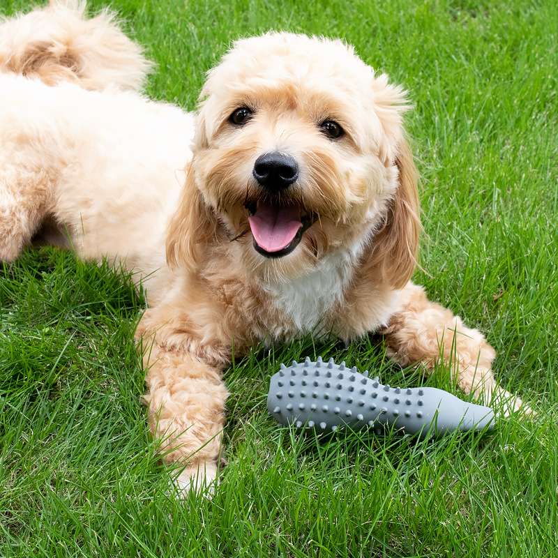 犬 おもちゃ 知育 | モグモグ歯磨きおもちゃ