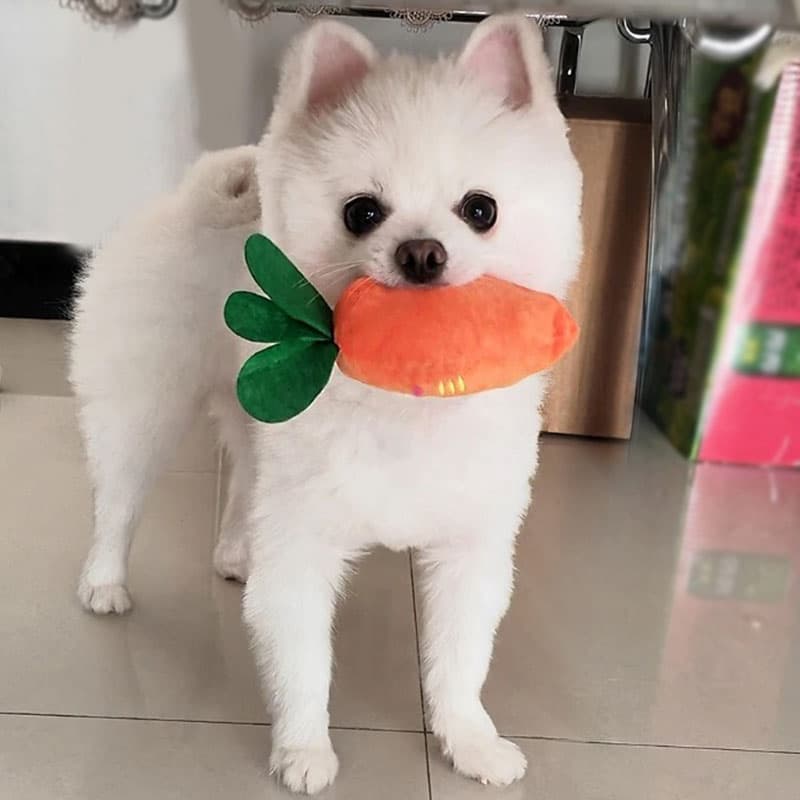 犬のおもちゃ にんじんさん ぬいぐるみ噛みおもちゃ