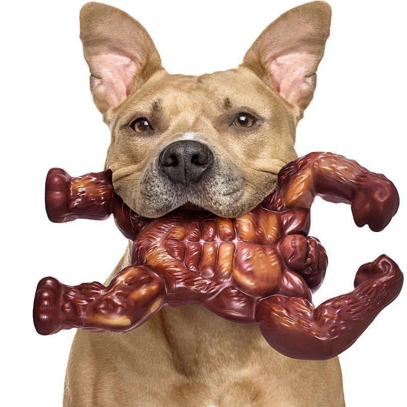 犬 おもちゃ | ワンちゃん大喜び！力士の筋肉骨