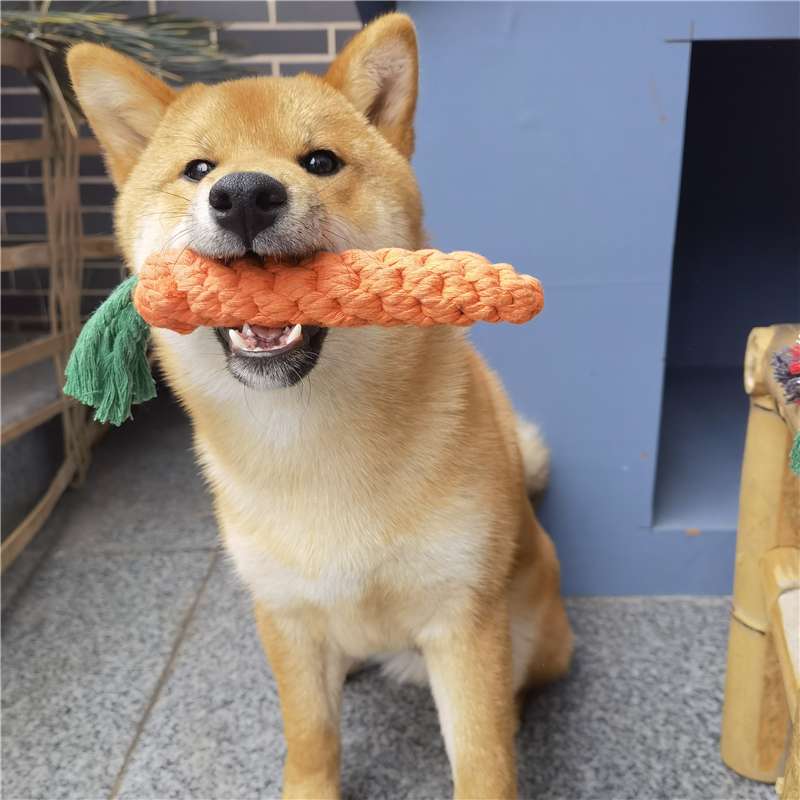 犬 おもちゃ ロープ | もふもふワンちゃんの歯磨きロープ