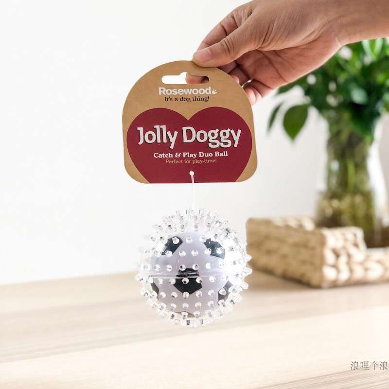 犬 おもちゃ ボール | わんわん喜ぶ遊びボール