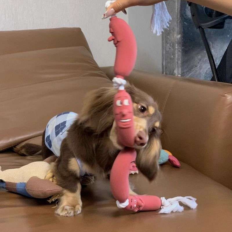 犬 おもちゃ ロープ | わんちゃんの噛みごこちロープ